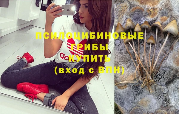 альфа пвп Баксан
