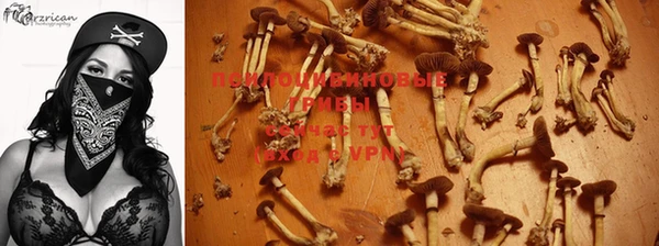 MDMA Беломорск