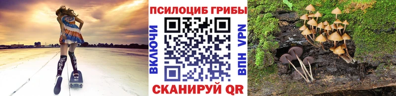 Галлюциногенные грибы Psilocybe Лебедянь